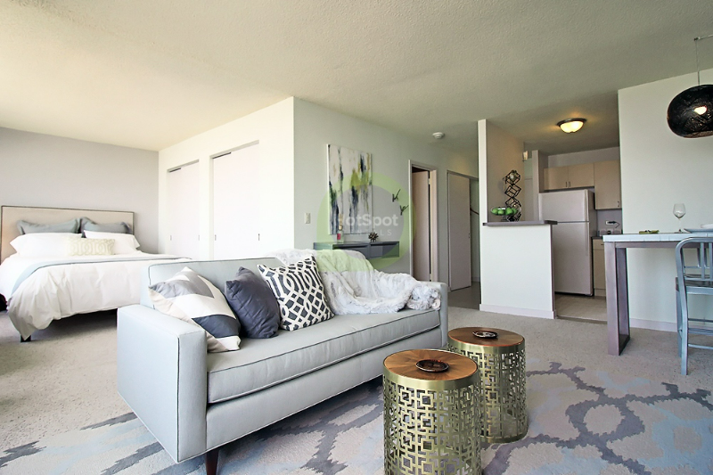 Chicago Condo: 1197 S Michigan