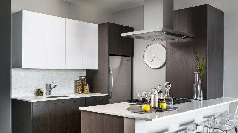 Chicago Condo: 101 W Wacker