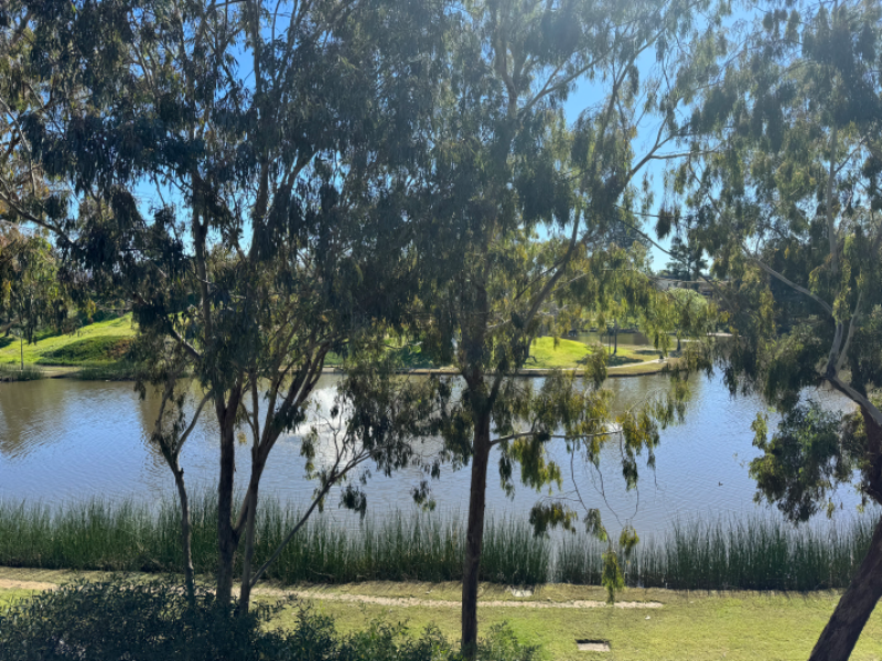 Oceanside Condo: 514 Calle Montecito