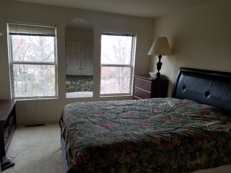 Reston Townhome: 1703 Blue Flint Ct
