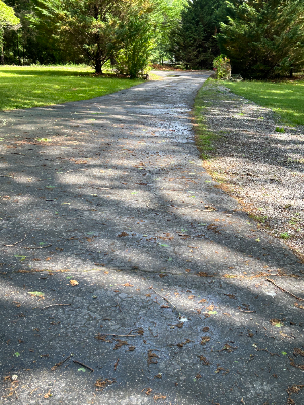 Franklin House: 33 T and E Lane