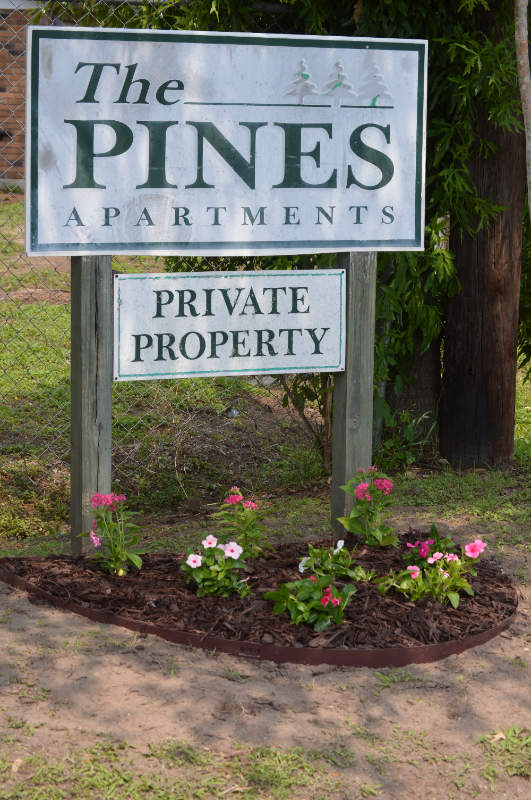 Broussard Apartment: 219 Leon Street