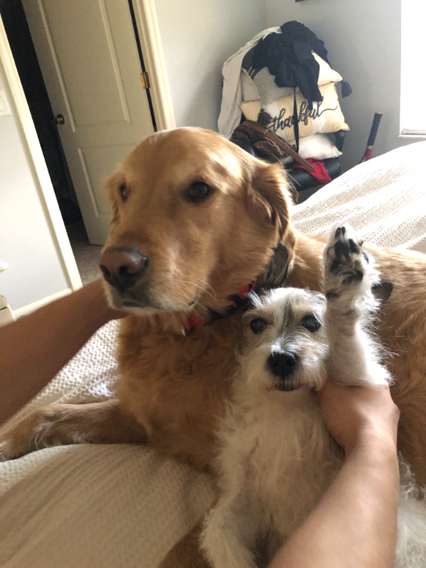 Milwaukee Townhome: 547A East Dover Street