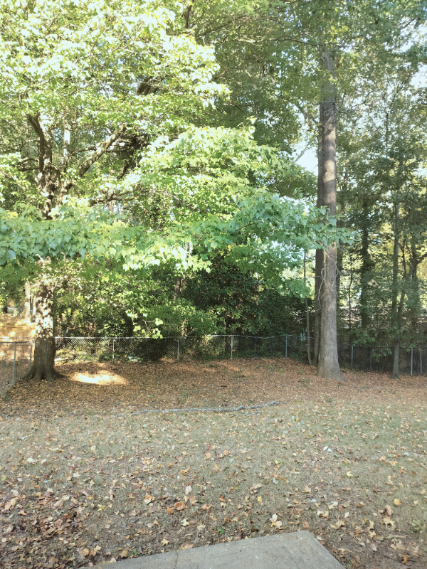 Auburn Townhome: 111 Maple St