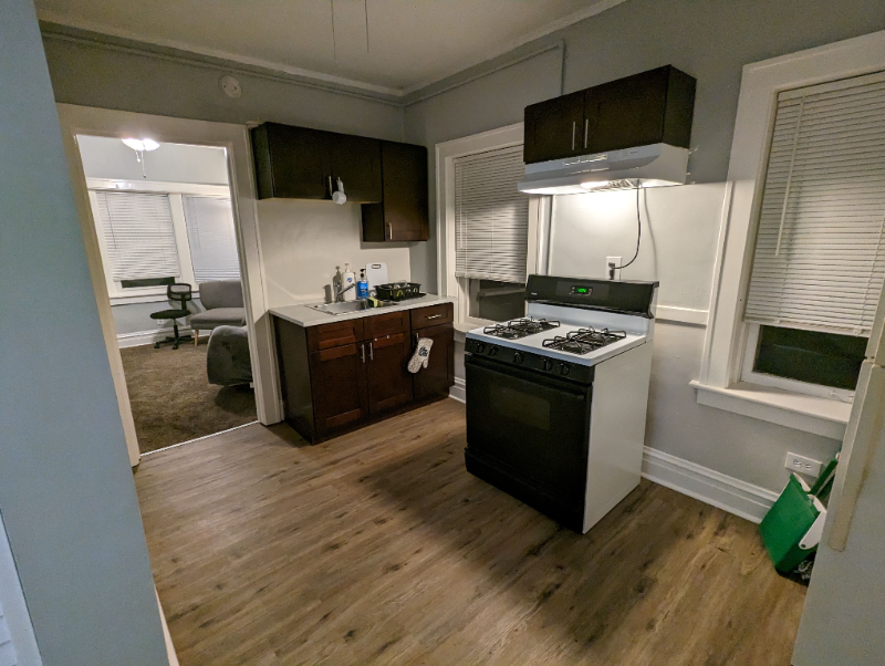 Chicago Multiplex: 2918 S HAYNES CT UNIT 1F