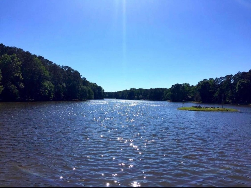 Roswell House: 530 Watergate Ct