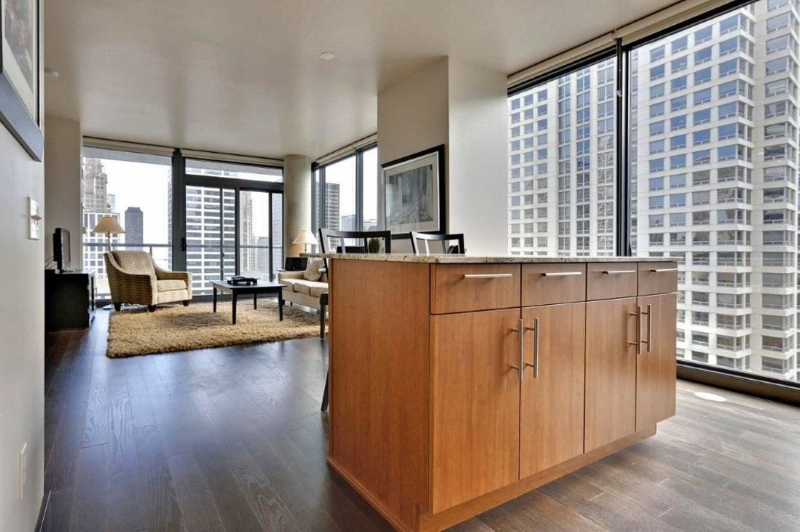 Chicago Condo: 462 N State St