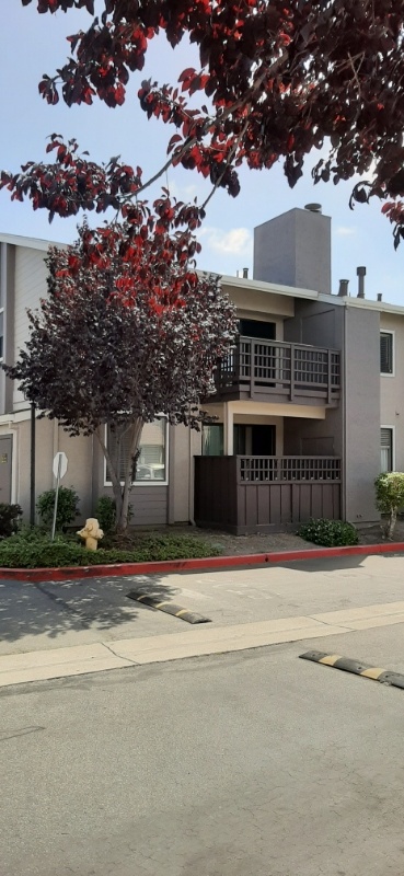 Salinas Condo: 427 W Laurel Dr
