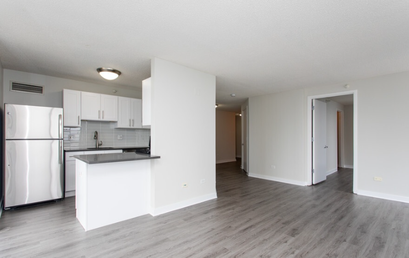 Chicago Condo: 530 N State St