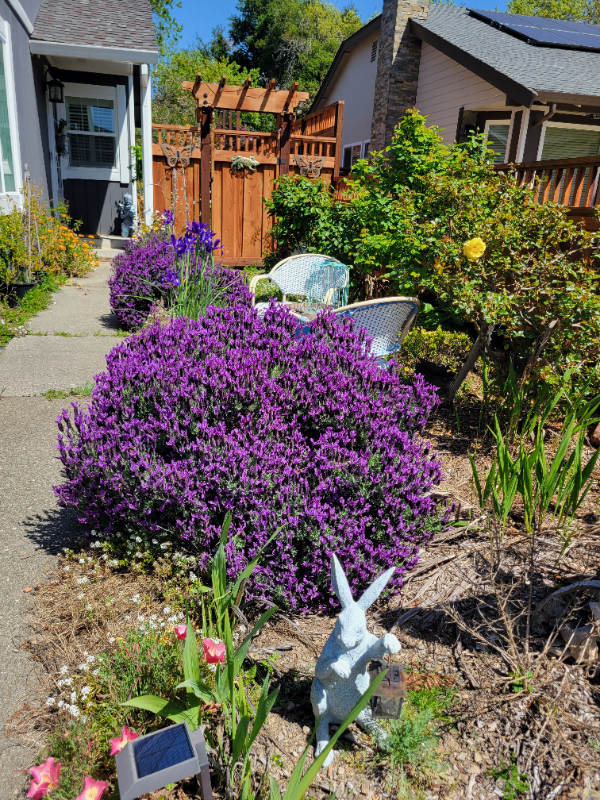 Napa House: 2436 Shoreline Dr