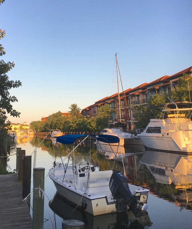 Naples Multiplex: 1525 Curlew Ave