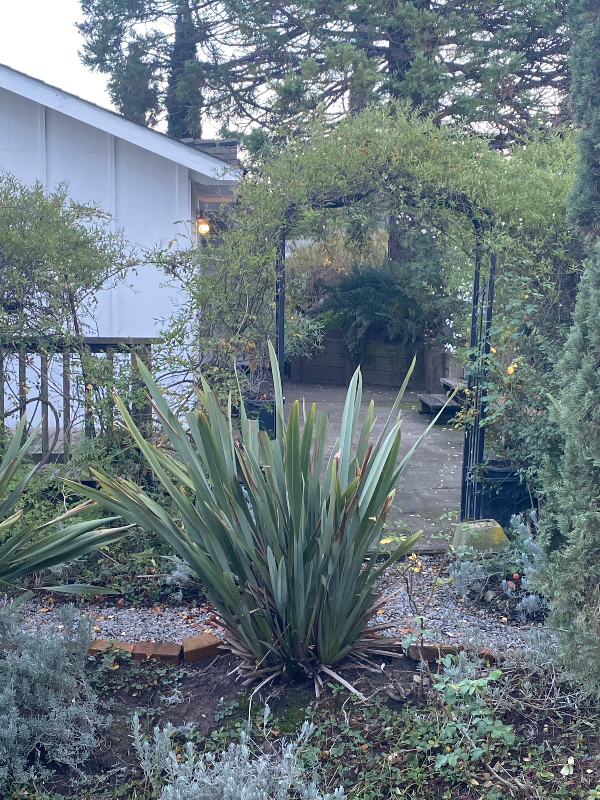 Petaluma House: undisclosed (1)