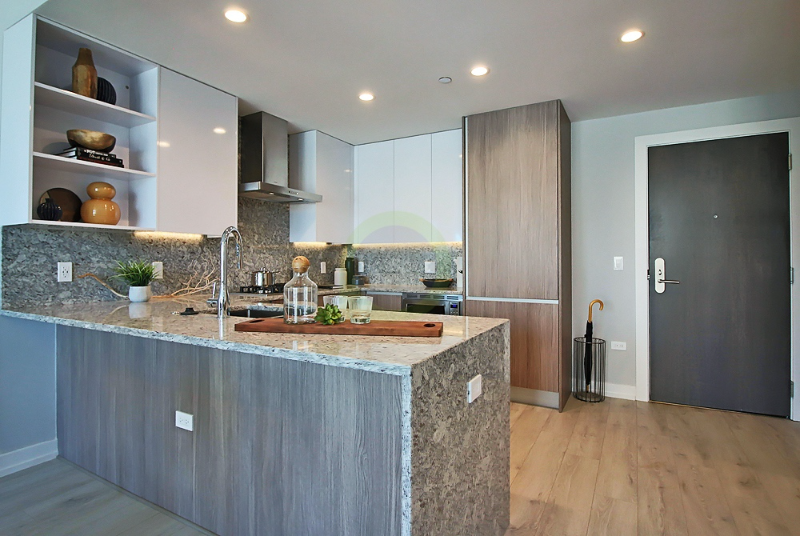 Chicago Condo: 202 W Hill St