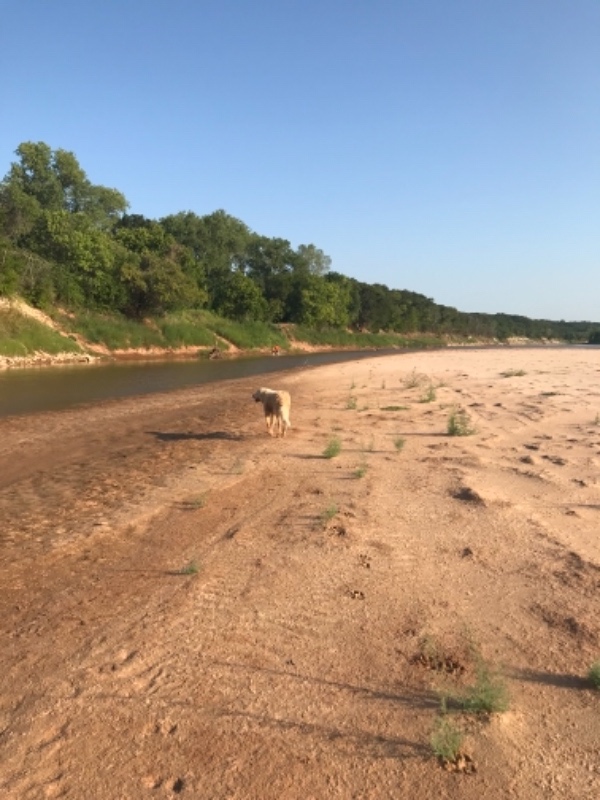 Whitesboro Other: 4411 County Rd 127