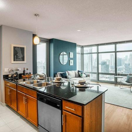 Chicago Apartment: 585 W Kinzie