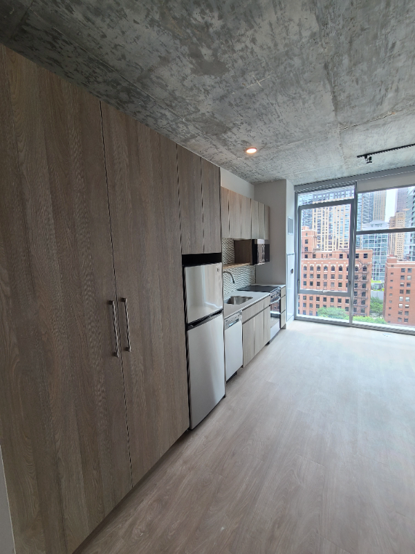 Chicago Condo: 216 W Chicago Ave