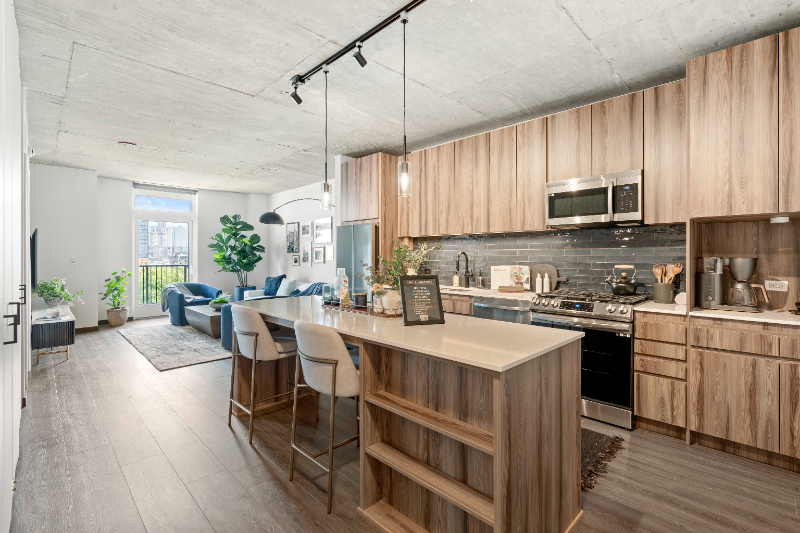 Chicago Condo: 169 N Ashland Ave