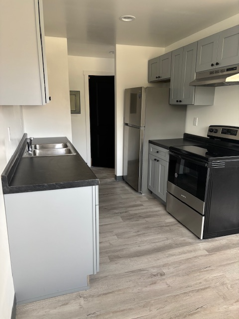 BATTLE CREEK Apartment: 595 WAGNER DR, APT #11