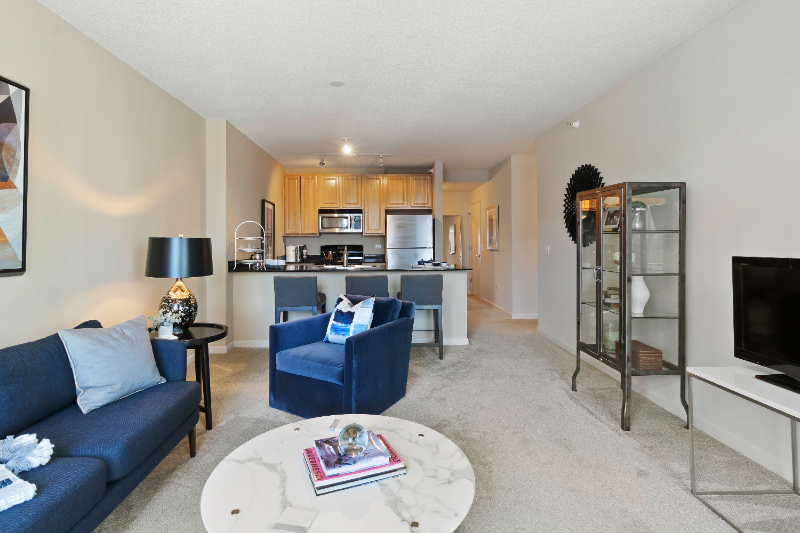Chicago Condo: 318 N Desplaines St