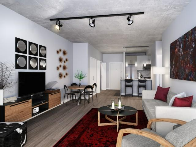 Chicago Condo: 428 e Ohio St