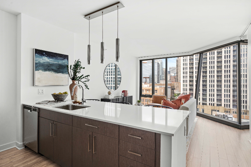 Chicago Condo: 1304 S Michigan Ave