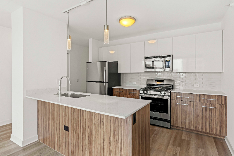 Chicago Condo: 350 N Orleans St