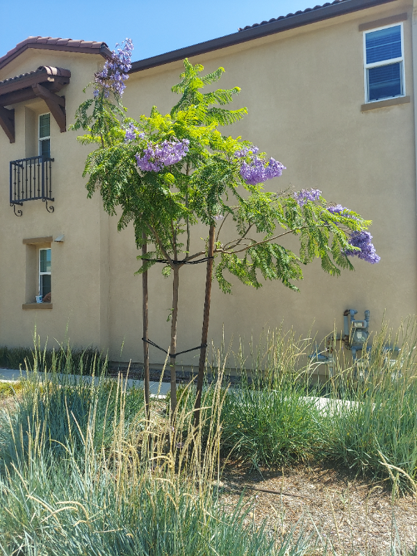 Upland Condo: 1713 Cedar Tree Place