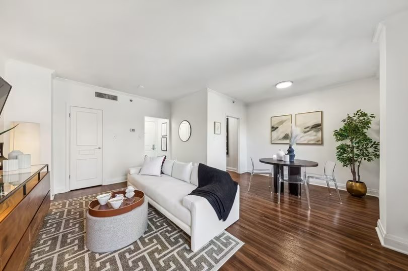 Chicago Condo: 120 East Chestnut St