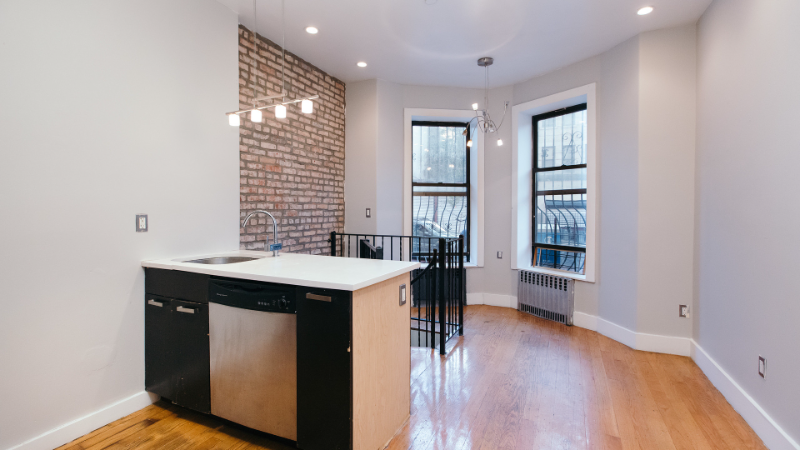 brooklyn Apartment: 169 Rogers Ave