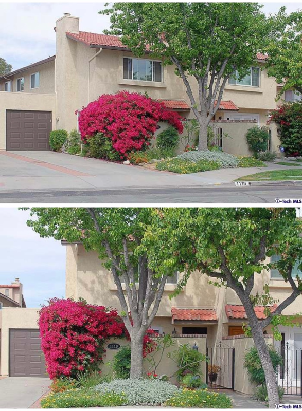 Duarte Townhome: 1119 Calle Malaga