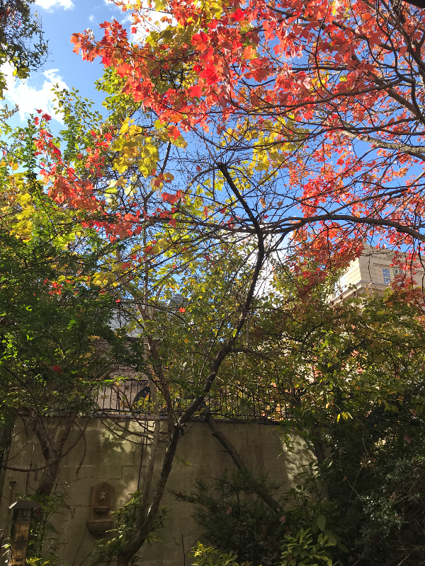 Brooklyn Townhome: 196 W 9th St