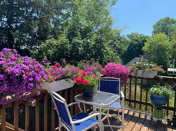 Newburyport Multiplex: 322 Merrimac St