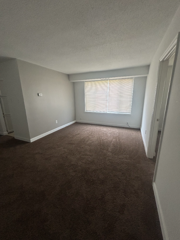 Washington Condo: 718 Brandywine St SE