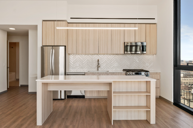 Chicago Condo: 527 S Damen