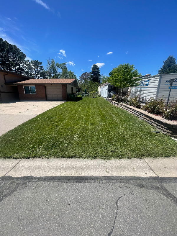 Lakewood Multiplex: 1653 Tabor St