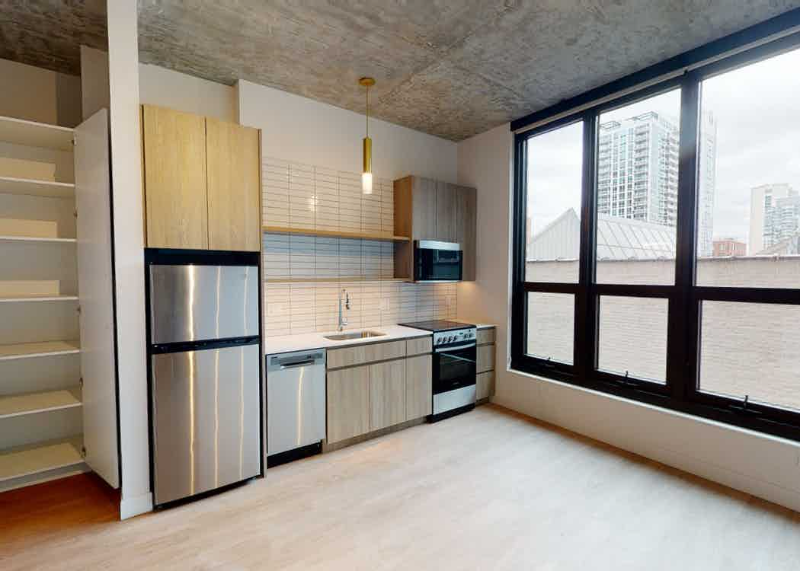 Chicago Condo: 210 W Institute Pl