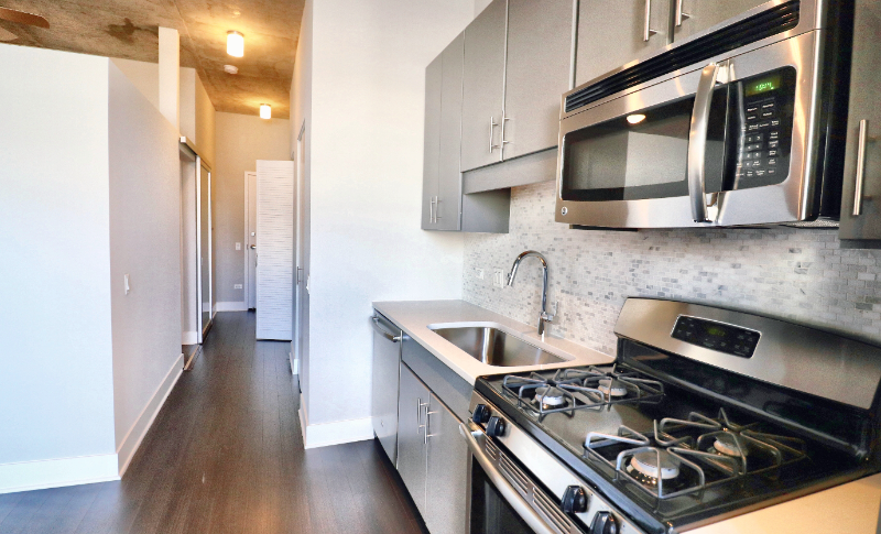 Chicago Condo: 845 S Clark St
