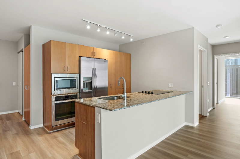 Chicago Condo: 155 E Illinois St