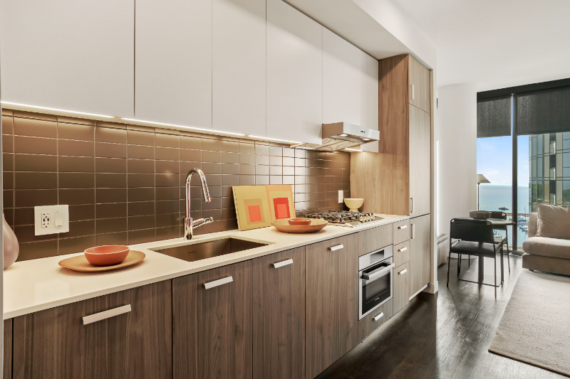 Chicago Condo: 445 E Waterside