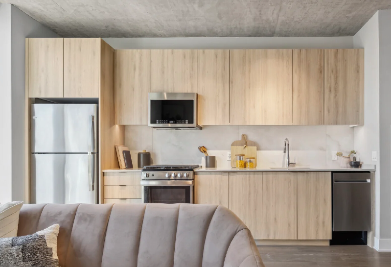 Chicago Condo: 1015 W Van Buren St