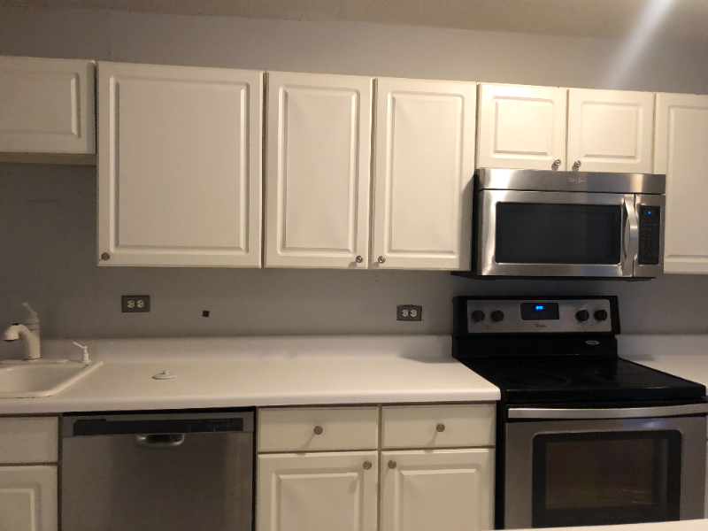 Chicago Condo: 1339 N Dearborn