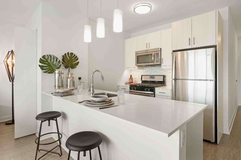 Chicago Condo: 981 S State Street