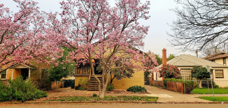 Sacramento House: 1313 U Street