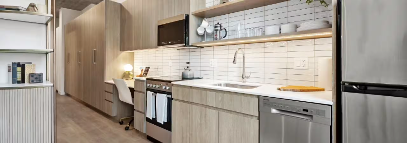 Chicago Condo: 814 N Wells