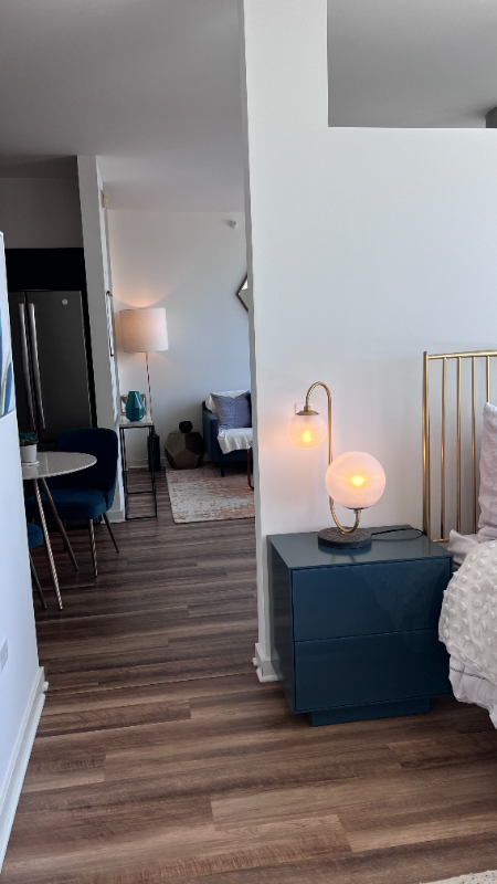 chicago Condo: 853 West Blackhawk