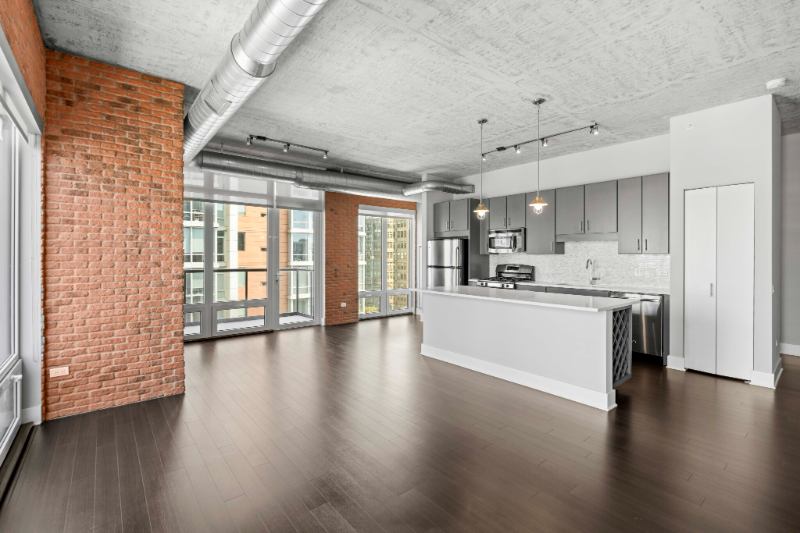 Chicago Condo: 877 S Clark St