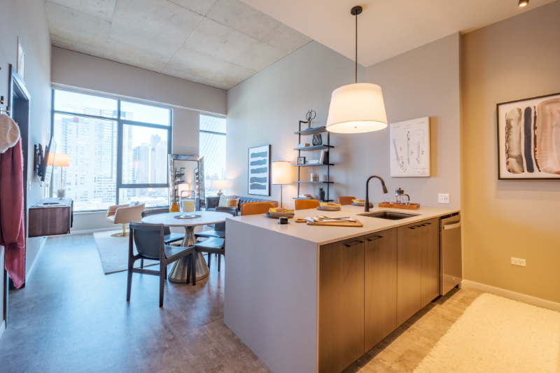 Chicago Condo: 928 W Washington