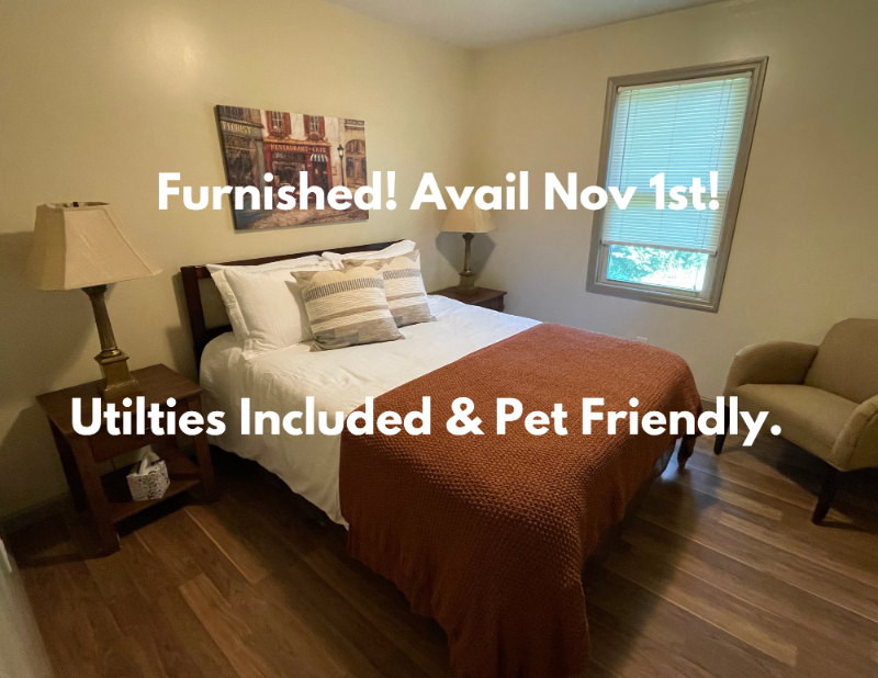 Johnson City Condo: 121 Voncannon Drive