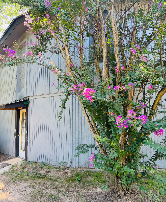 Big Sandy Multiplex: 132 Lindsey RD