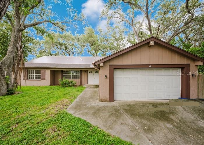 Dunedin House: 1243 ROYAL OAK DR